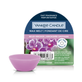Wild Orchid Wax Melt