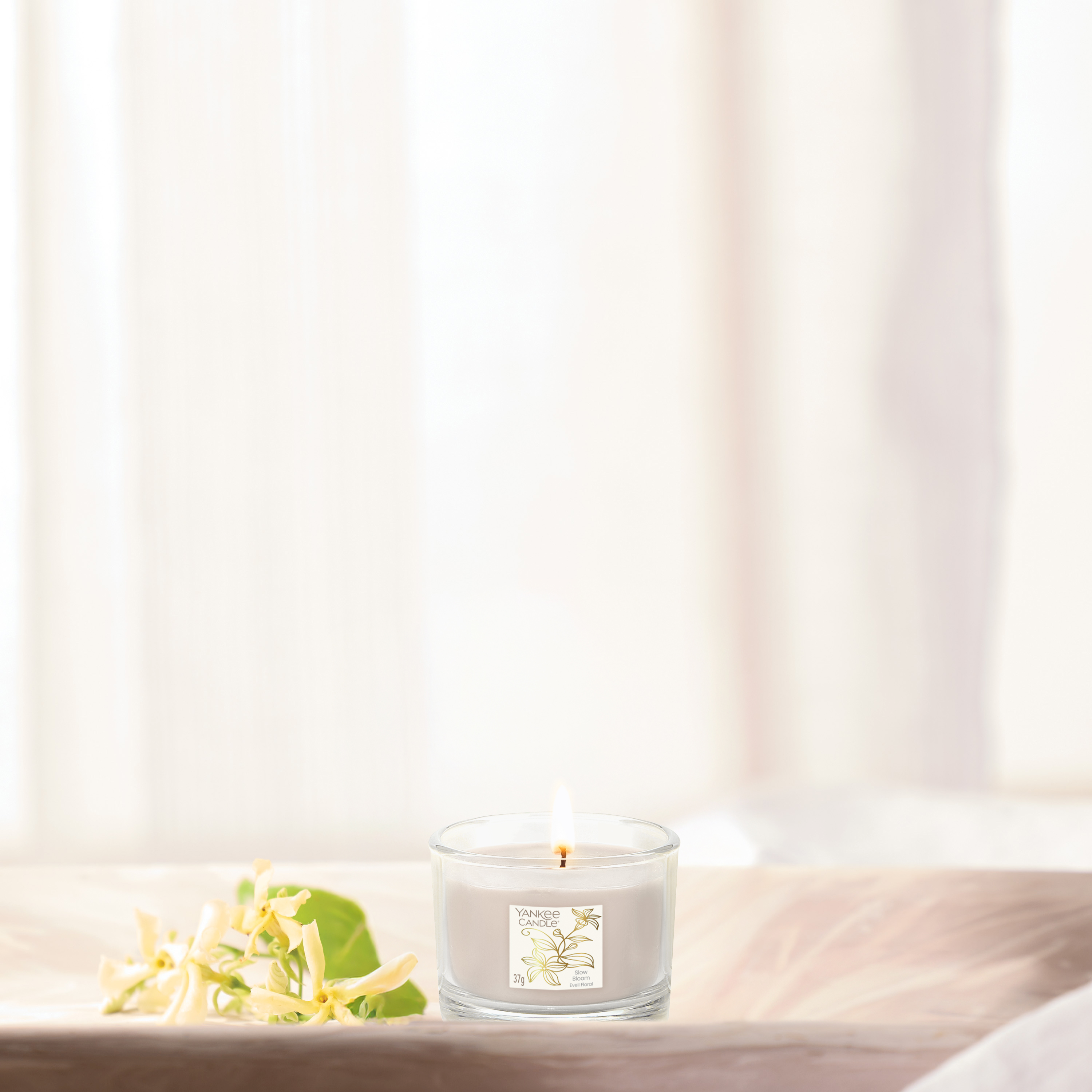 Slow Bloom Mini Filled Votive