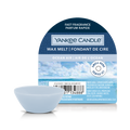 Ocean Air Wax Melt