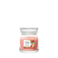 White Strawberry Bellini Small Jar