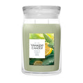 Sage & Citrus Large Jar