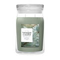 Silver Sage & Pin Grand Pot