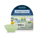 Cucumber Mint Cooler Wax Melt